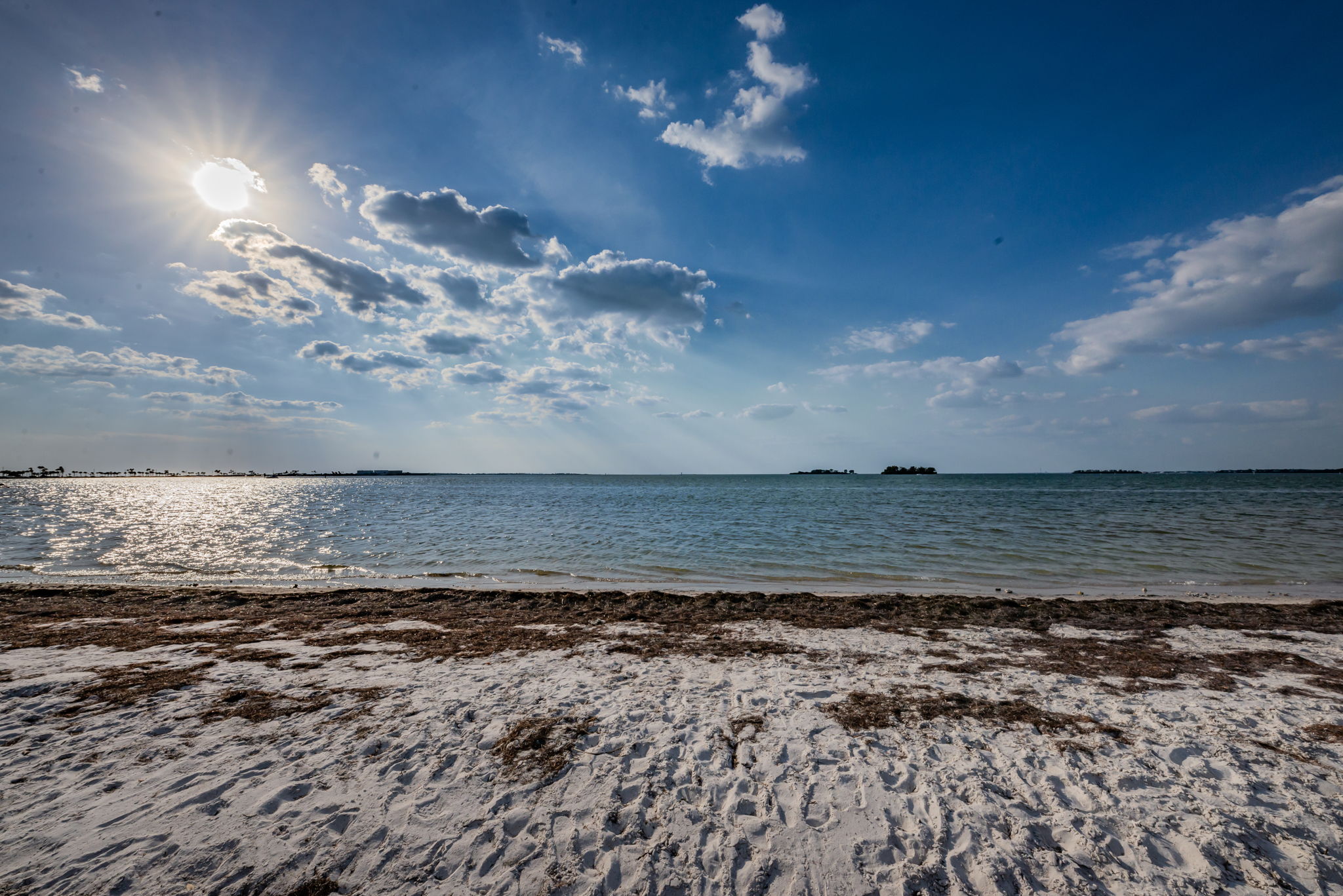 Dunedin Causeway15