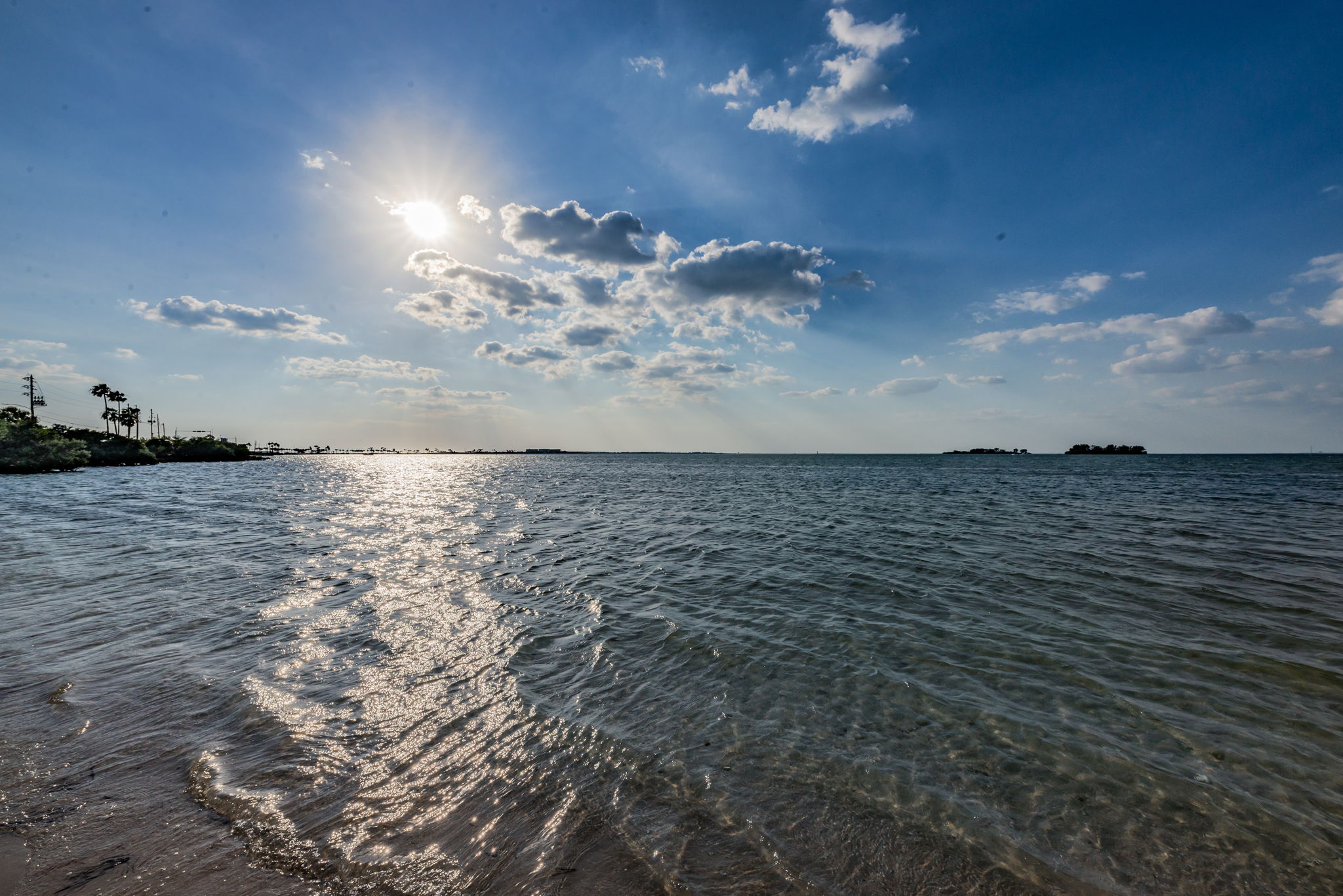 Dunedin Causeway19