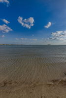 Dunedin Causeway12