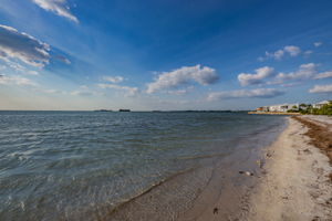 Dunedin Causeway18