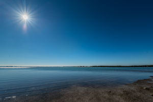 Dunedin Causeway6