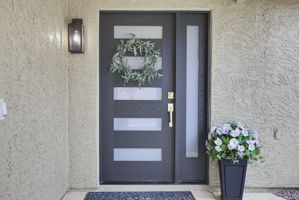 Front Entry Detail