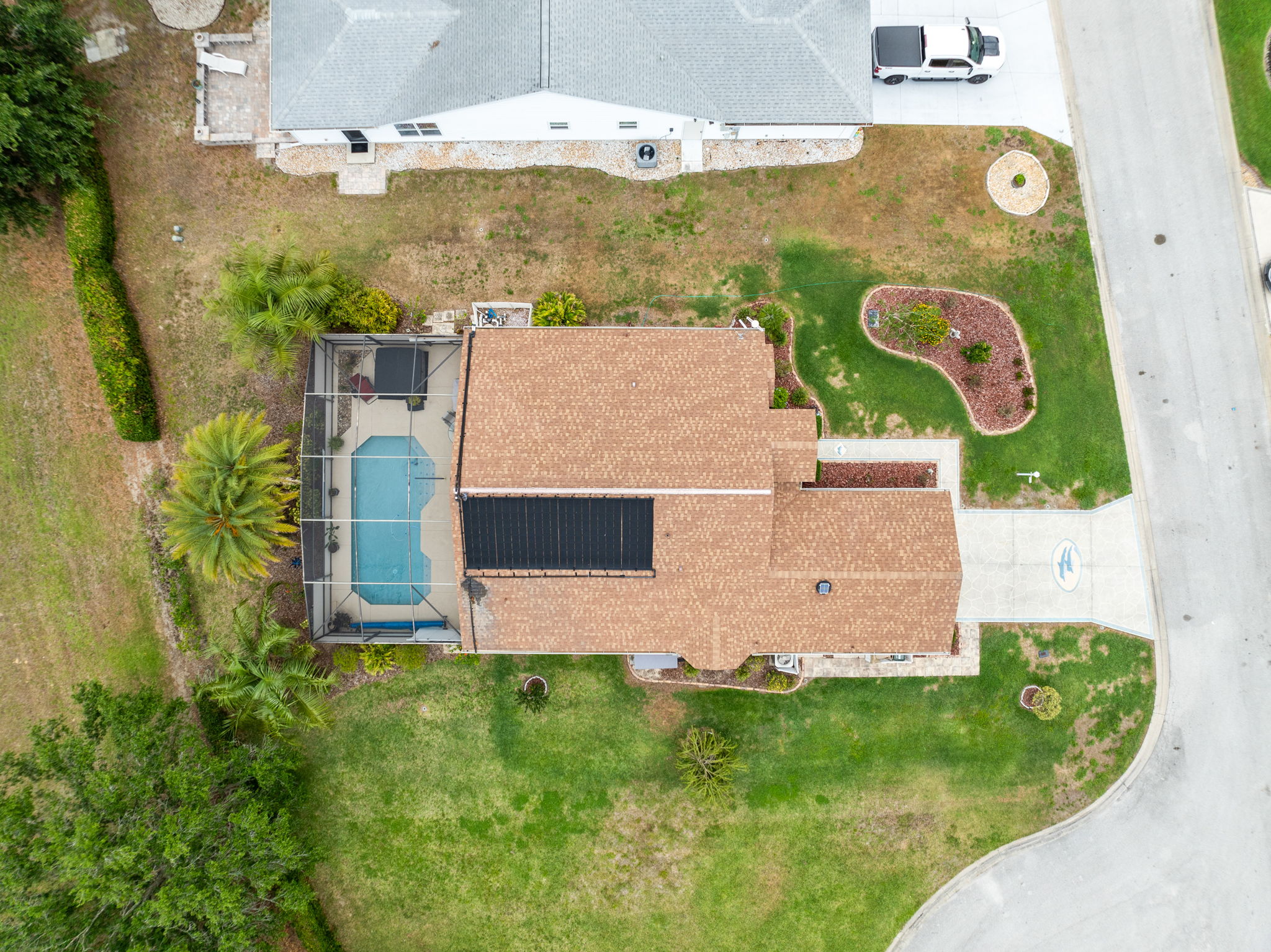 Bird View