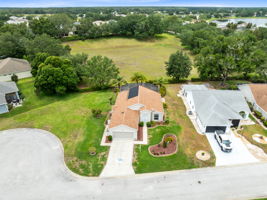 Bird View