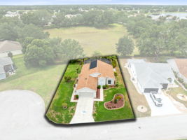 Bird View
