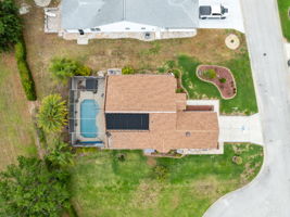 Bird View