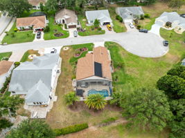 Bird View