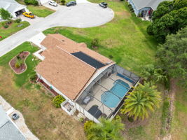 Bird View