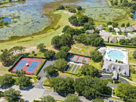 Bird View
