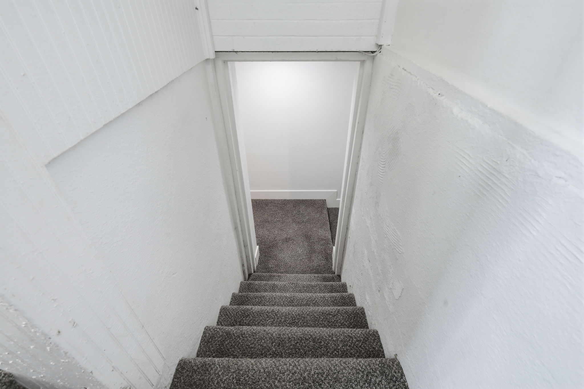  Photo 50