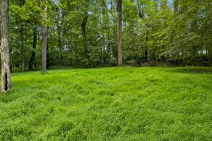  Photo 52