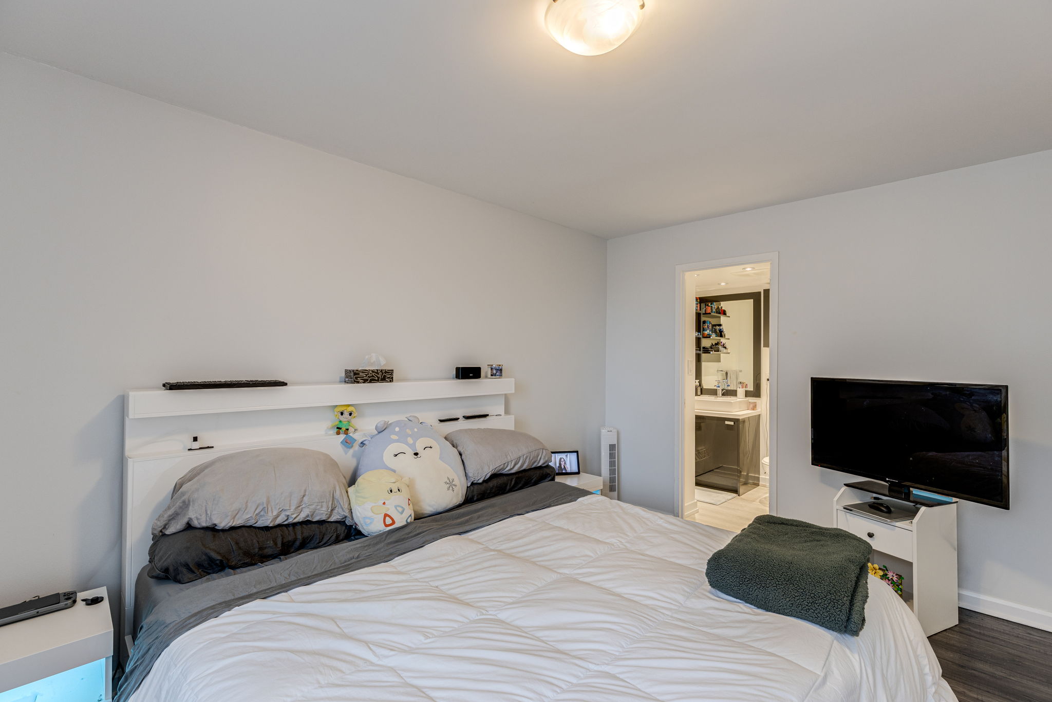 Mississauga property showcase — delivered property photograph 18