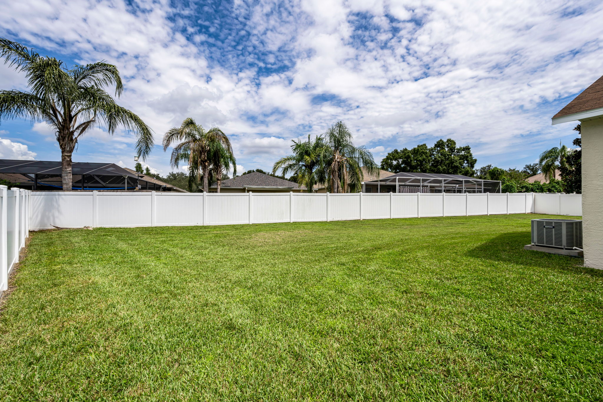 Backyard 2