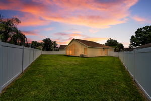 Backyard 1
