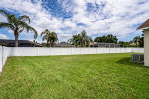 Backyard 2
