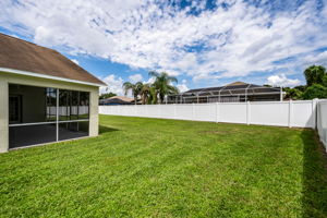 Backyard 5