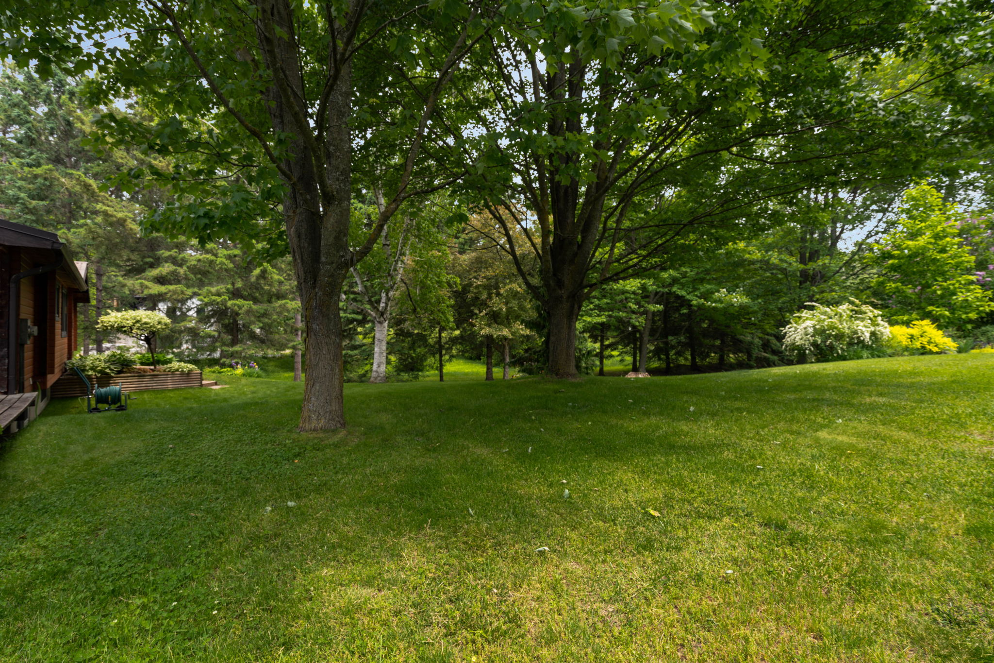  Photo 43