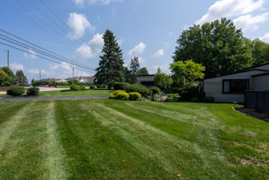  Photo 49