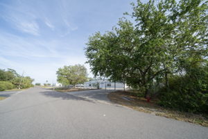  Photo 0
