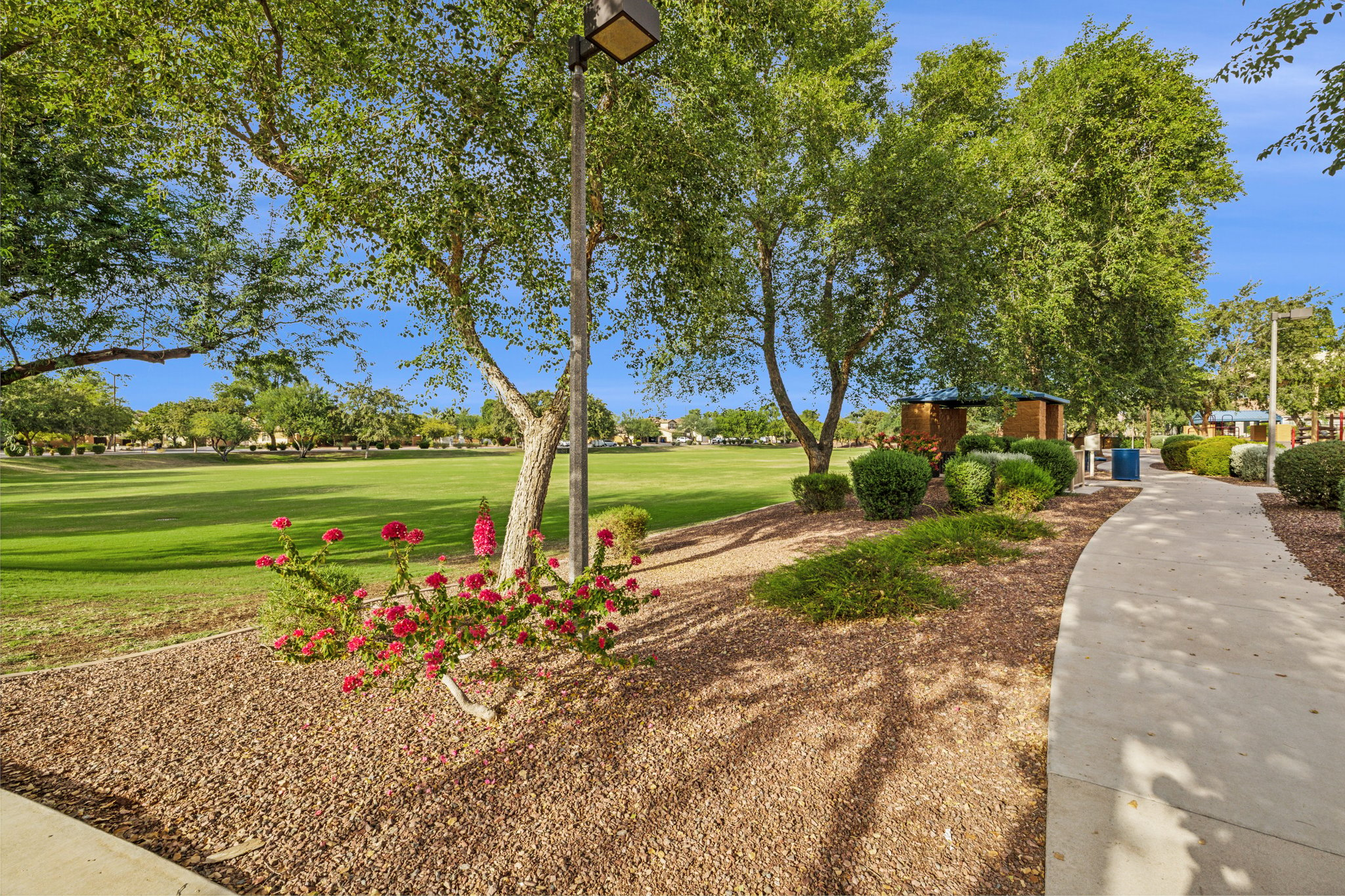 2546 E Boston St, Gilbert, AZ 85295 - 038.jpg