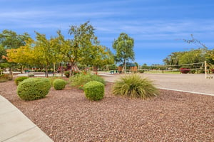 2546 E Boston St, Gilbert, AZ 85295 - 035.jpg