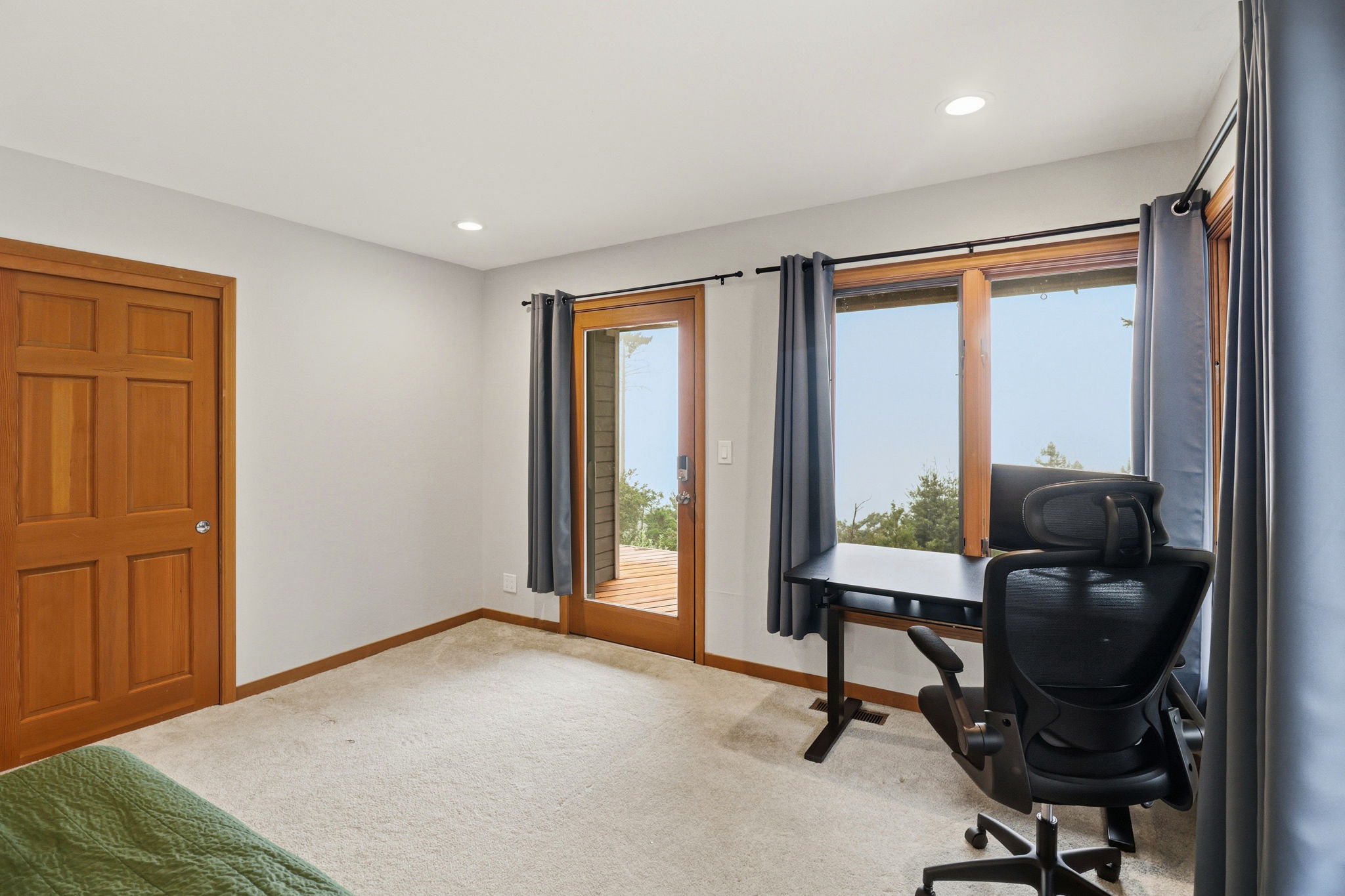 Lower Level Guest Bedroom