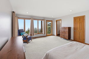 Lower Level Master Bedroom