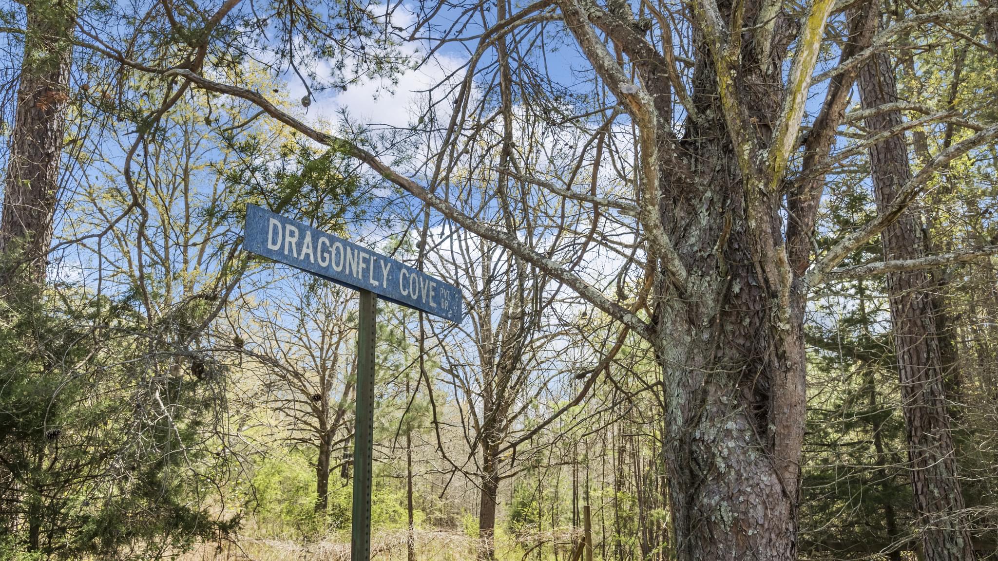  255 Dragonfly Cove, Toccoa, GA 30577, US Photo 43