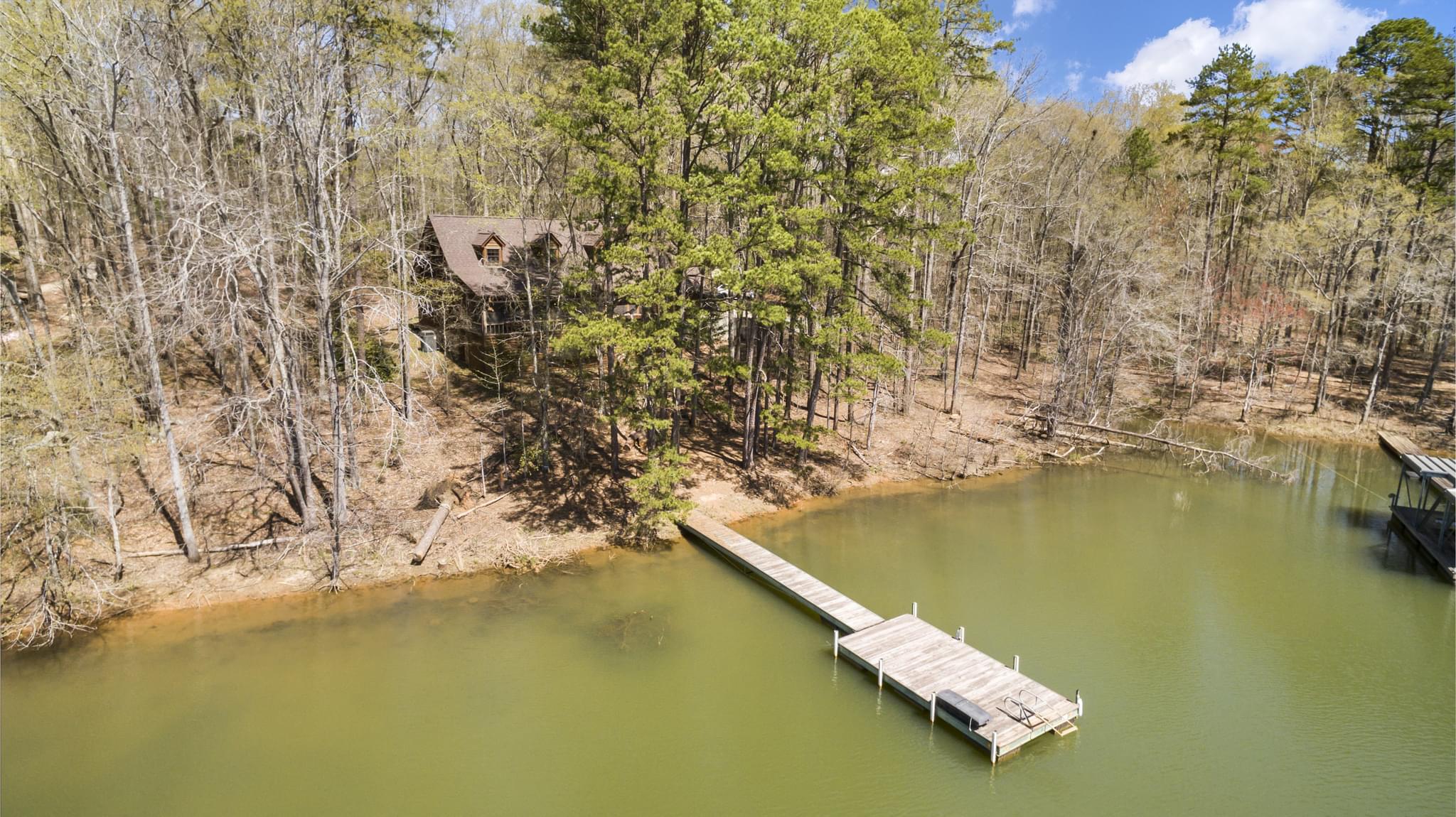  255 Dragonfly Cove, Toccoa, GA 30577, US Photo 42