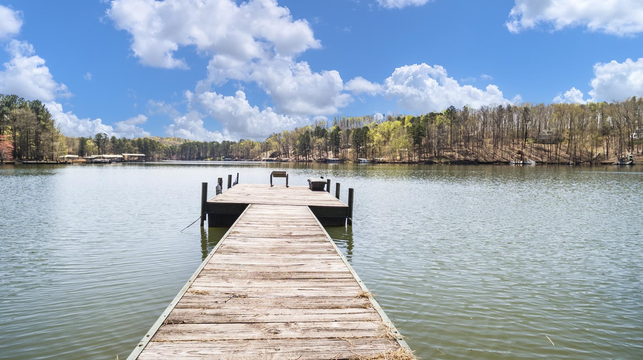  255 Dragonfly Cove, Toccoa, GA 30577, US Photo 4