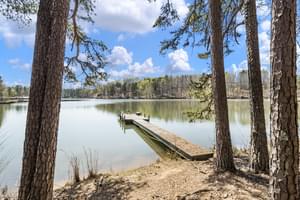  255 Dragonfly Cove, Toccoa, GA 30577, US Photo 38