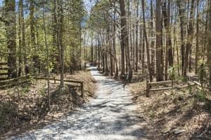  255 Dragonfly Cove, Toccoa, GA 30577, US Photo 39