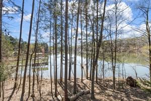  255 Dragonfly Cove, Toccoa, GA 30577, US Photo 25