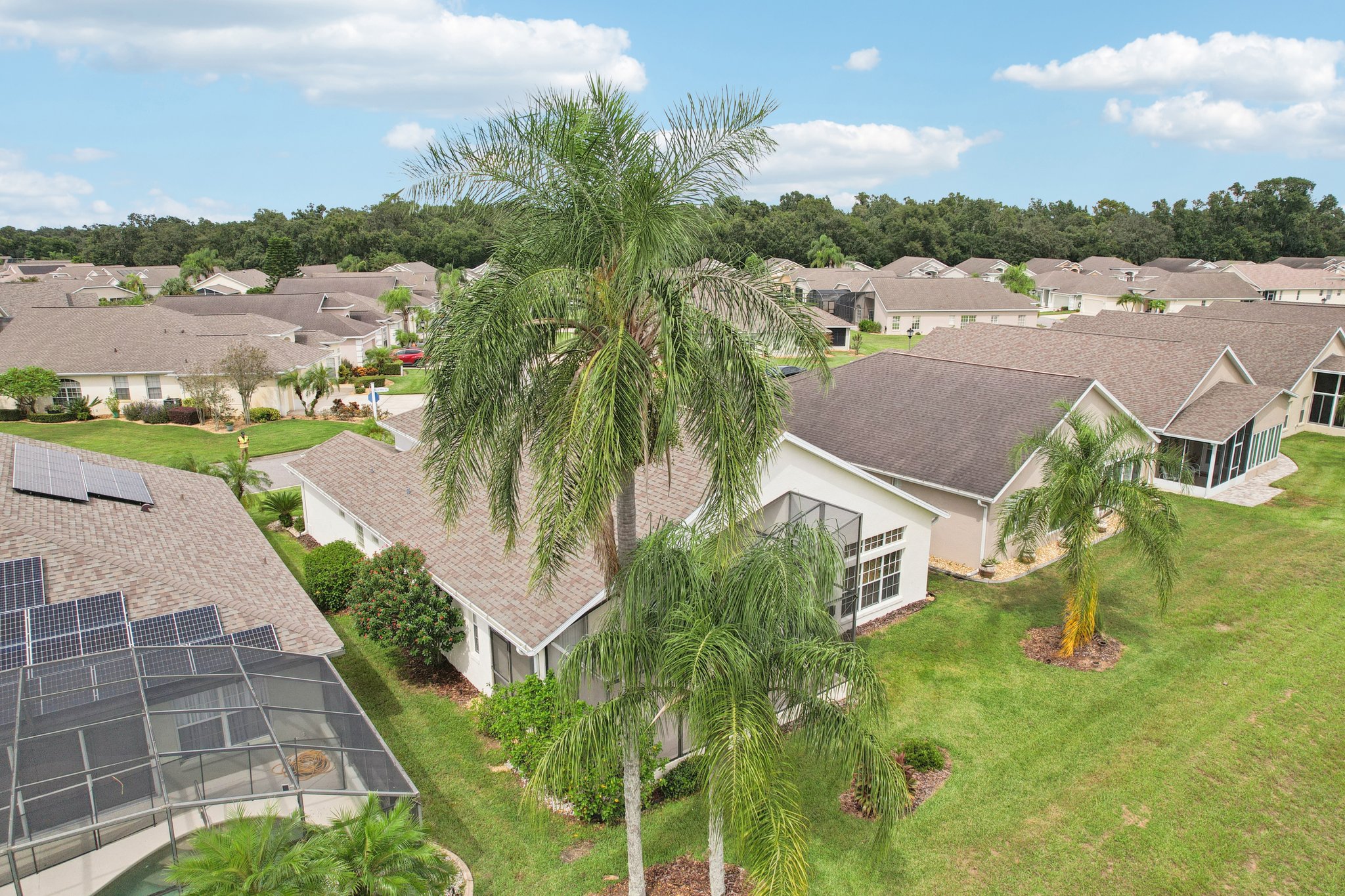 Royal Palm Dr-S1909-049.jpg
