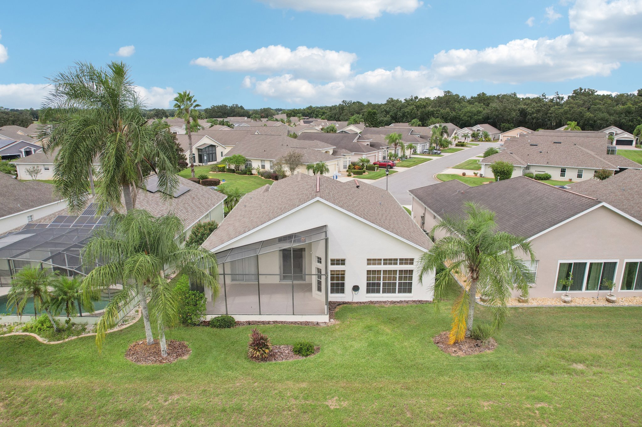 Royal Palm Dr-S1909-050.jpg
