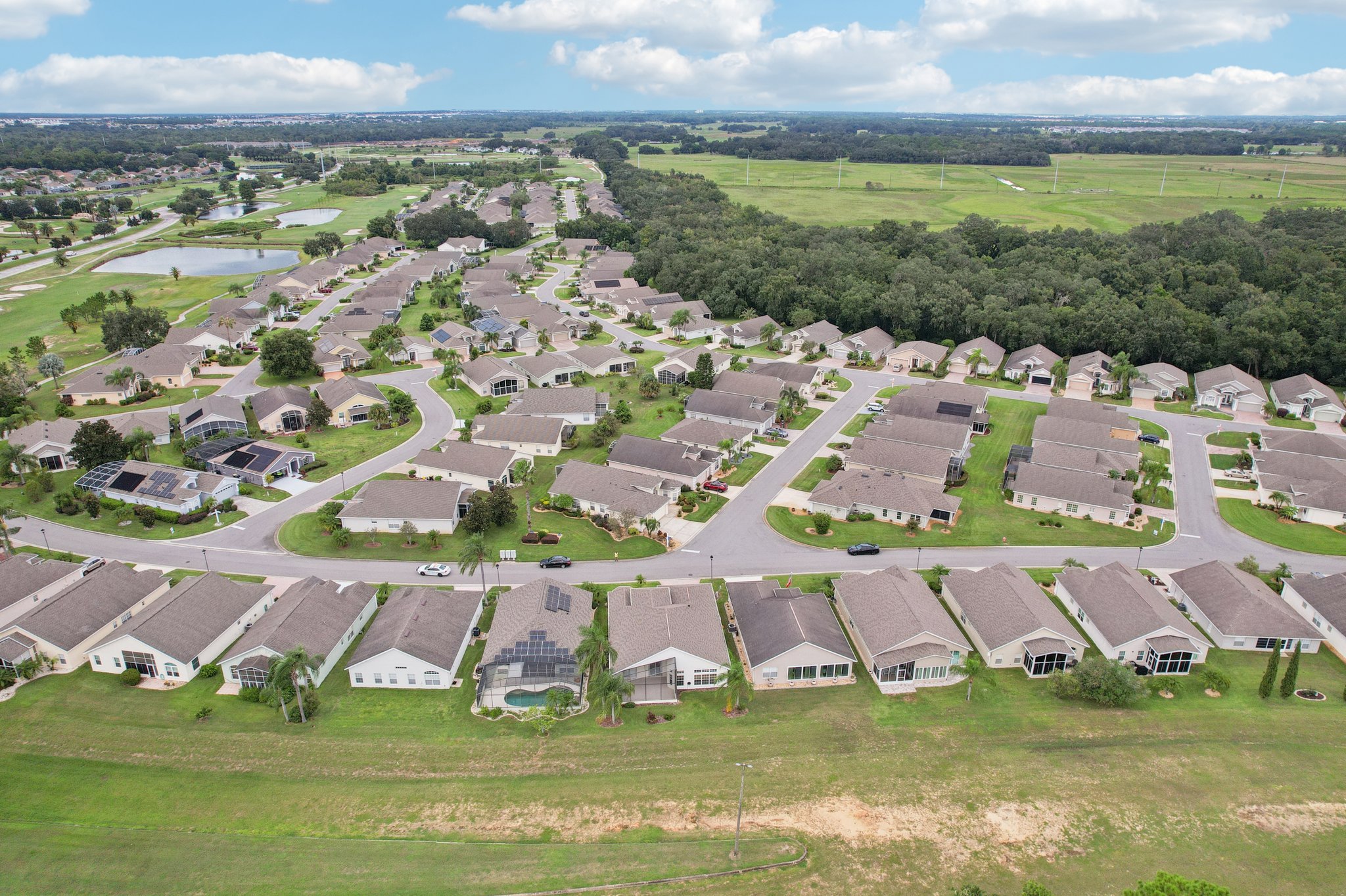 Royal Palm Dr-S1909-059.jpg