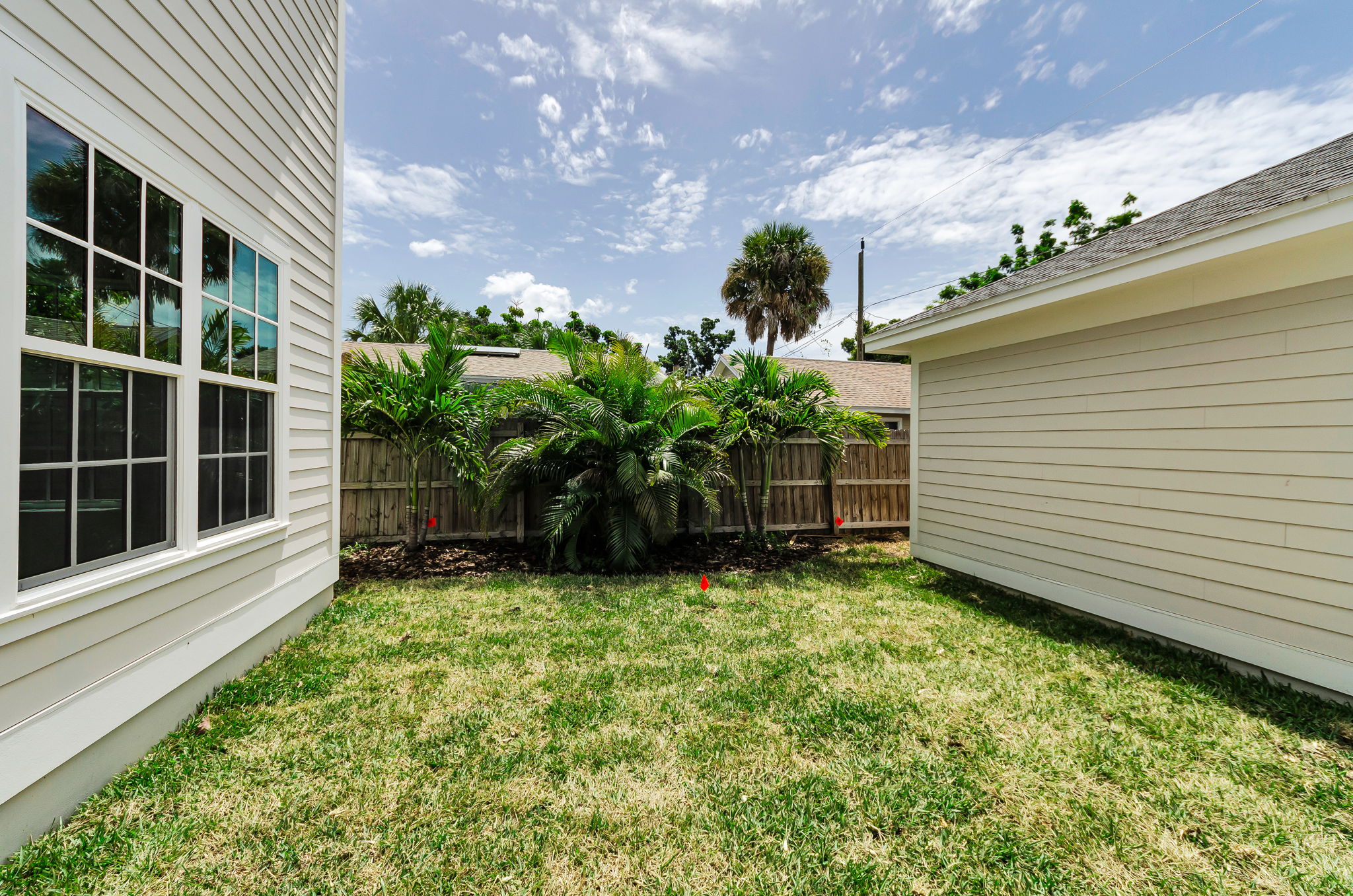 Backyard1