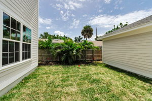Backyard1