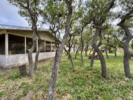  Photo 48