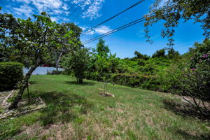Backyard5