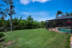 Backyard1