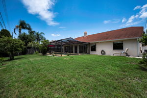 Backyard2
