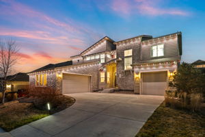 Twilight Christmas 1