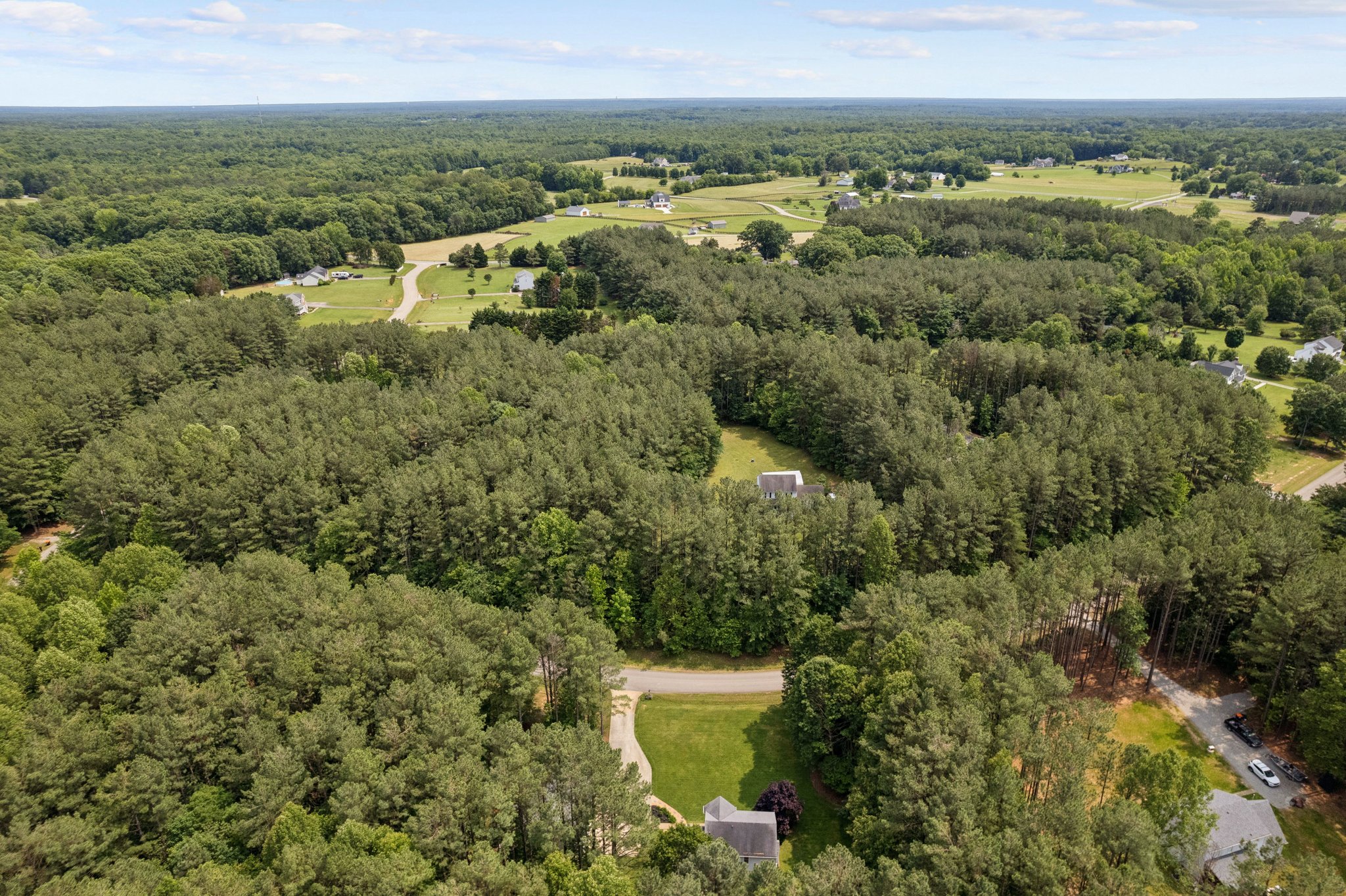 DJI_0219.jpg