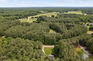 DJI_0219.jpg