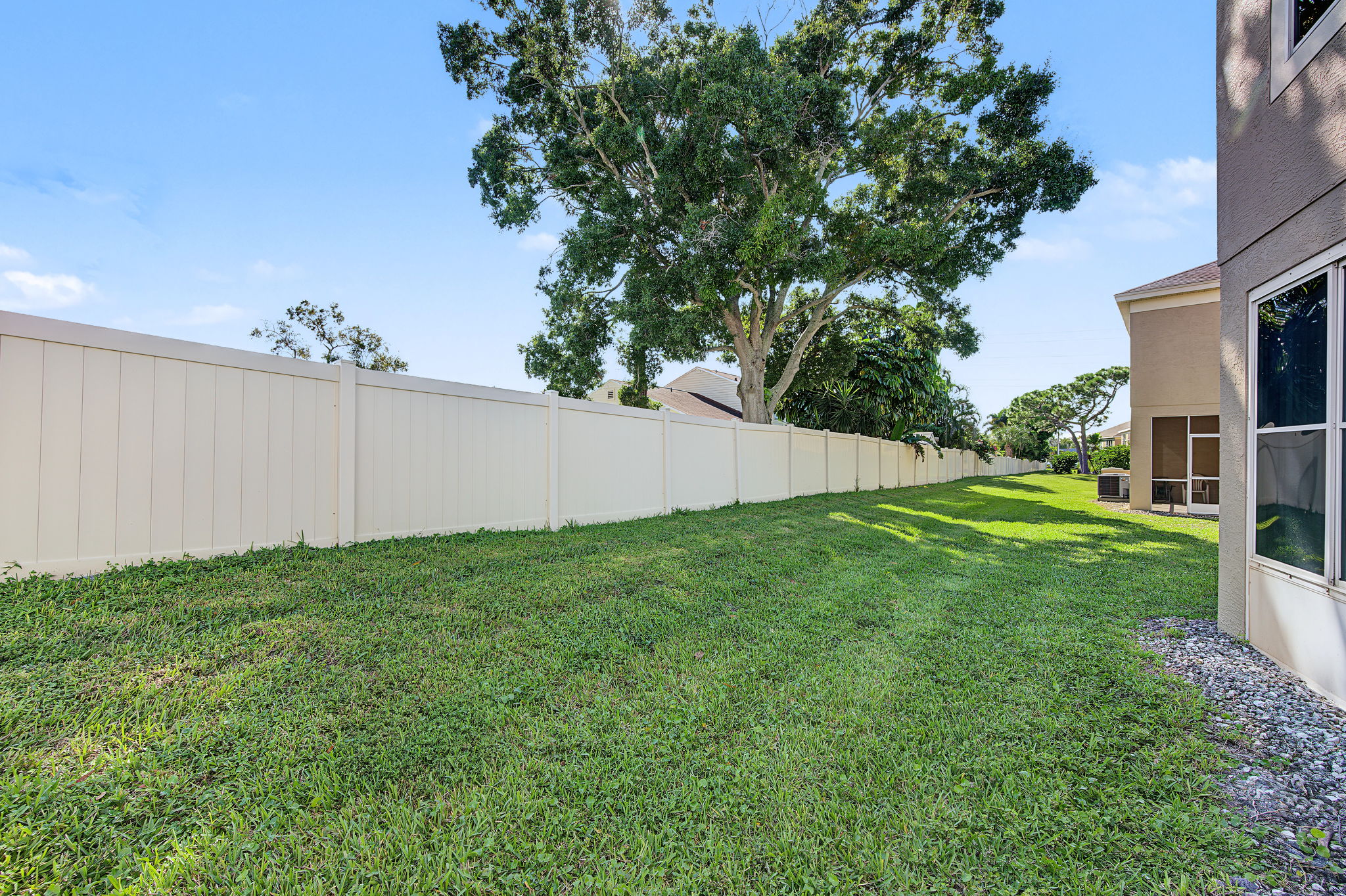 Backyard3