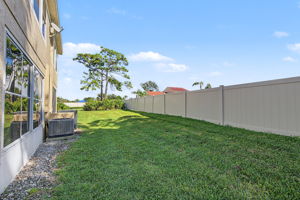 Backyard2