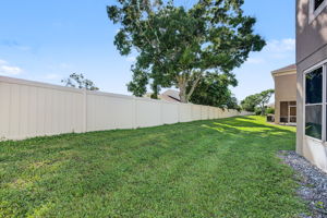 Backyard3