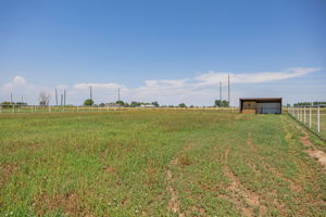  Photo 49