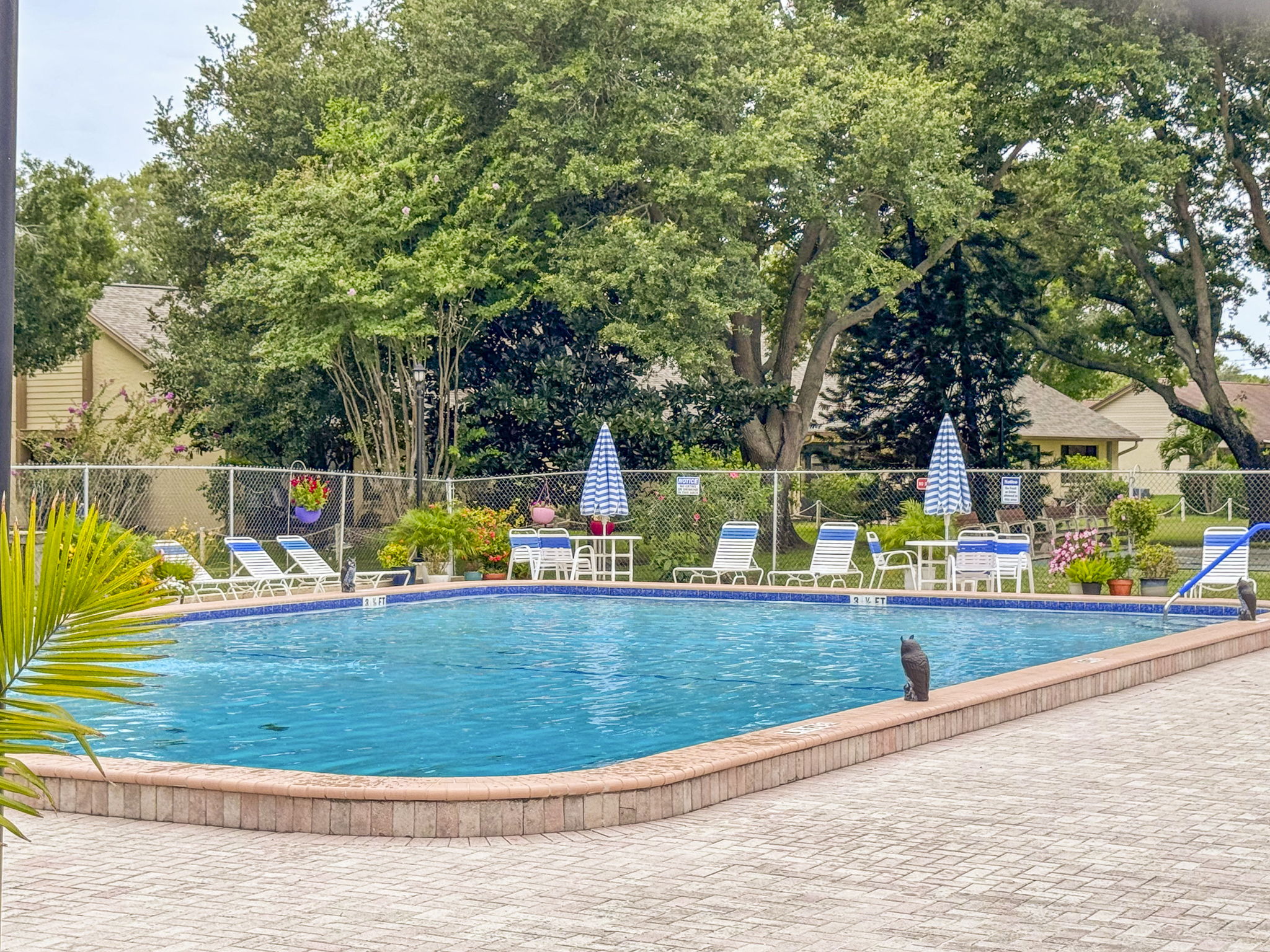 Community Pool - IMG_7314